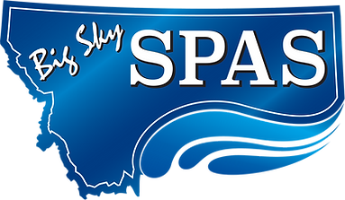 BSS logo no bg HI Q.png